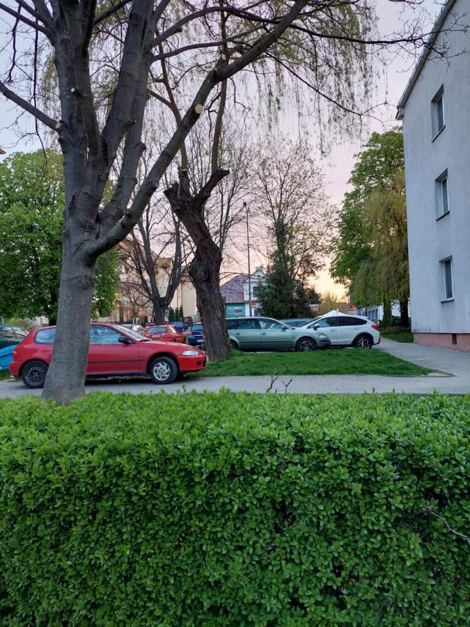 Finezja Apartment